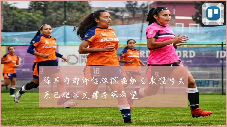 绿军内部评估双探花组合表现与关系已难以支撑夺冠希望